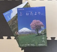 Item thumbnail for item 97942cd9-d3c9-4511-834c-7e5ddb94719d