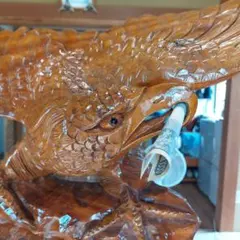 さしば鷹 剥製 (梱包・発送たのメル便5000円含) - メルカリ