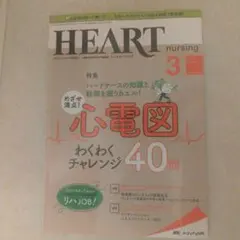 ハートナーシング Vol.32No.3(2019