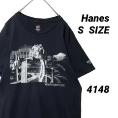 ヘインズ Tシャツ S 黒 ワシントンD.C. 袖プリント リンカーン 景色