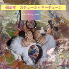 ディズニー 40周年　キーチェーン　ドリームゴーラウンド