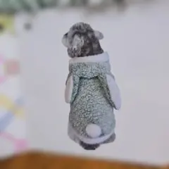 Item thumbnail for item ffa13c88-4de9-4bf5-ab4b-d046003ddf72