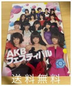 【非売品・限定AKB48 チームサプライズ クリアファイル AKBフェスティバル