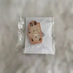 RIIZE ランダムトイ　マグネットアクリルチャーム　ソンチャン