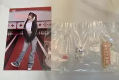 TWICE LOVELYS アクリルカラビナフロッキーマスコット　カードセット