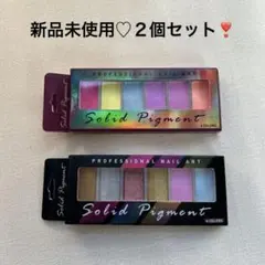 【新品未使用】ネイルパウダー パレット6色✖️２個セット　ネイルチップ付