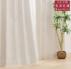 Item thumbnail for item 6412c04c-468a-486b-98ac-f6949f20368c