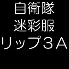 陸上自衛隊 リップストップ 迷彩服 ３Ａ