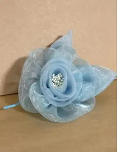 Item thumbnail for item a3ebc5ee-5fda-4312-bfaa-5de4733c1255