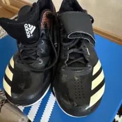 Item thumbnail for item 7677cbec-d861-4dad-a032-64f3c974041a