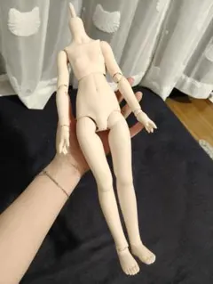 MDD ベースボディ2.0（DD-f3） セミホワイト 他 色移り防止 スタンド 