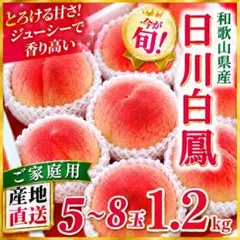 桃 白鳳 約1.2kg 5〜8玉 ご家庭用 和歌山県産 甘い ジューシーのサムネイル