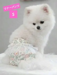 Item thumbnail for item 0448ad32-bbb6-4ee6-abfe-2f72a8f090e9