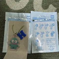 サンリオキャラクターズ ツインチャームにじほしキャンディ3 ハンギョドン