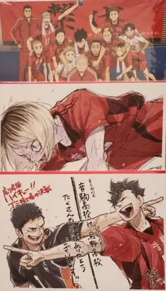 ハイキュー!! ゴミ捨て場の決戦 特典 音駒高校最後の集合写真 ビジュアルボード