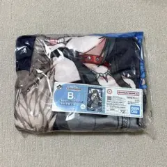 2026年最新】学マス 一番くじ ブランケットの人気アイテム - メルカリ