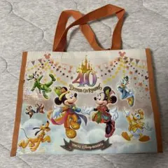 ディズニーランド　ショッピングバッグ　40周年