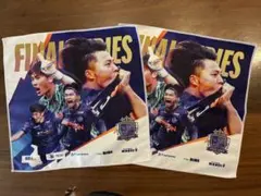 【新品非売品】サンフレッチェ広島 オリジナルタオル 2枚セット