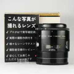 Item thumbnail for item ad91979f-dd9b-4866-822a-1a6de231af19