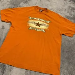 HARLEY-DAVIDSON　2006年製　　XL