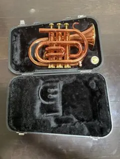 2025年最新】jupiter jpt-416の人気アイテム - メルカリ