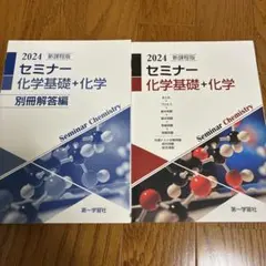 2024 セミナー化学基礎+化学のサムネイル