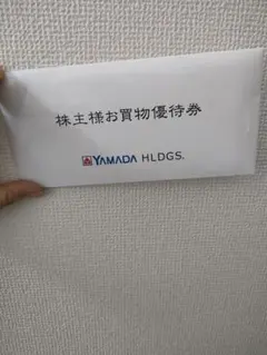 YAMADA HDGS. お買物優待券 6枚　3000円分