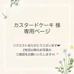 カスタードケーキ様 おまとめ3点