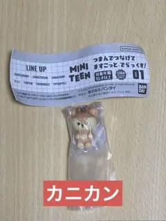 MINI TEEN つまんでつなげてますこっと・でらっくす！ジョシュア　チャスミ