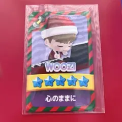 SEVENTEEN New FC特典　carat トレカ　パズチ　ウジ