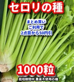 セロリの種【1000粒】⭕️のサムネイル