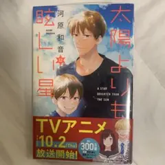 太陽よりも眩しい星 12