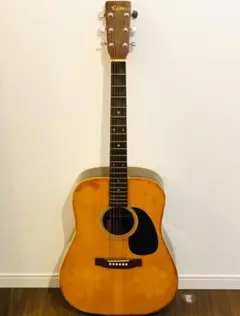 2025年最新】takamine elite twの人気アイテム - メルカリ