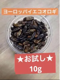 Item thumbnail for item 1e39027a-03f7-43e5-a0d5-62beaa755953