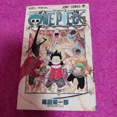 25925❤ ONE PIECE 43