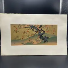 東洋美術大観 柿図屏風 鈴木其一筆 23 東洋美術大観 柿図屏風 鈴木其一筆 23 - メルカリ