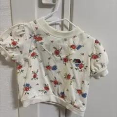 soft cheese ソフトチーズ　 FRUIT OF THE LOOM 90のサムネイル