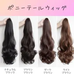 ポニーテール ウィッグ エクステ ダークブラウン 55cm クリップ式