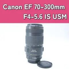 2026年最新】ef 300 is 70の人気アイテム - メルカリ