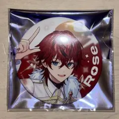 ロゼ Rose すとふぇす 2026 等身 めておら 缶バッジ 10点 すとふぇす 2026 めておら ランダム缶バッジ Rose ロゼ ろぜ - メルカリ