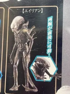 Item thumbnail for item 0165ae39-c538-4c62-a07d-22bb408ae03e