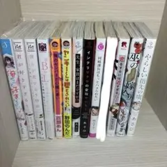BL 漫画 本 13冊 まとめ売り