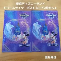 ディズニー　エレクトリカルパレードドリームライツ　　ポストカード　2枚セット