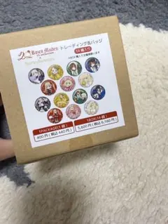 Rozen Maiden サンリオ 20周年 コラボ 缶バッジ BOX セット
