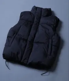 ANPAS 2WAY Eco Down Vest2WAY エコダウンベスト