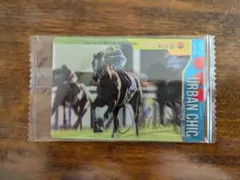 サラブレッドホースコレクション　アーバンシック　サイン入り