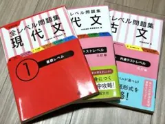 【書き込みなし】【バラ売り可】 レベル問題集 現代文 古文 国語 大学入試