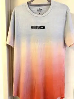 HOLLISTER メンズ グラデーション 半袖Tシャツ M