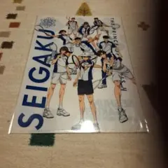 新テニスの王子様　クリアファイル　青学のサムネイル