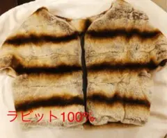 Item thumbnail for item 176440db-362a-409e-95eb-9f71ff2c0516